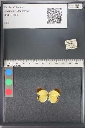 Media type: image;   Entomology 123119